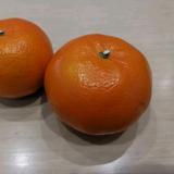 淘羽🍊头像
