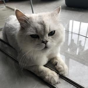 小花头像