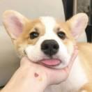 sirui的个人资料头像