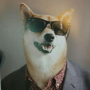 巫妖王不污的个人资料头像