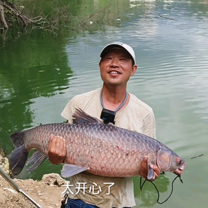 餐条哥与徽姑娘