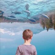 Greenhand99的个人资料头像