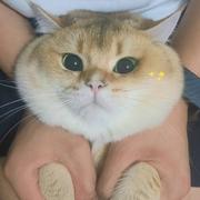 Ai王小五的个人资料头像