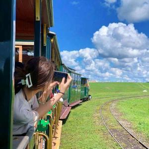 郭大喵语录头像