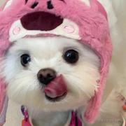 喂羊没有烦恼的个人资料头像