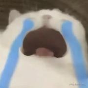 一定好好学习的个人资料头像