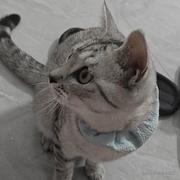 半亩花的个人资料头像