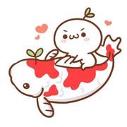 锦鲤附身的个人资料头像