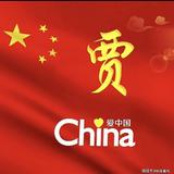 不忘初心贾603头像