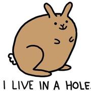 conyH的个人资料头像