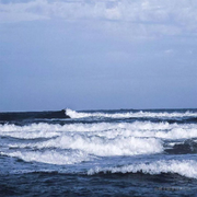 波澜不兴jssl的个人资料头像