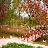 游戏休闲快乐园头像