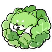 卷心菜汪的个人资料头像