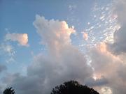 风乘雨的个人资料头像