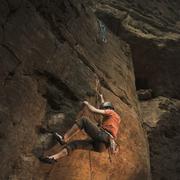 Baleon的个人资料头像