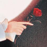 Bella292的个人资料头像