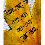孑然一身1796头像