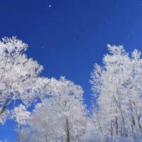 东北老徐666头像