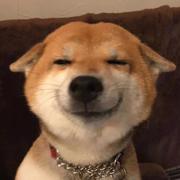 快递王的个人资料头像