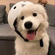 liunm的个人资料头像