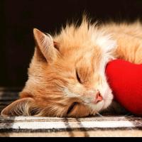 星空寂云呀头像