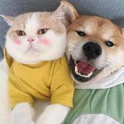 535的个人资料头像