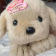 用户50385474311的个人资料头像