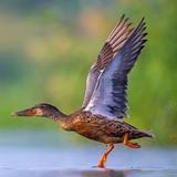 用户2806549821103头像