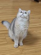 苏同学的个人资料头像