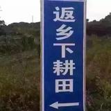 好邻居商店阿廖哥头像