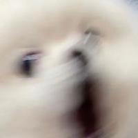 木子的蒙丢丢头像