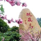 X何以笙箫默头像