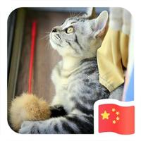 用户8369654697459头像