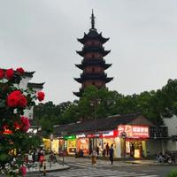 爱乐海音头像