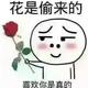 懵懵懂懂1399头像