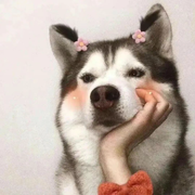 周怼怼的个人资料头像