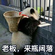 睡不着的可乐的个人资料头像
