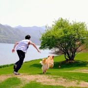 汪汪队睡大觉75的个人资料头像