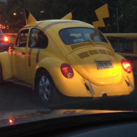 林中拾松塔头像