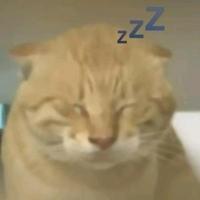 端庄松鼠7a4头像