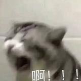 用户3582254196728头像