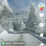 明天会更好头像