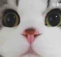一个一模一样的我头像