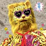 大猫猫841头像