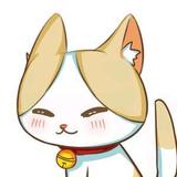 豹了个猫原创设计头像