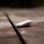 寻找逆向_爬虫的个人资料头像