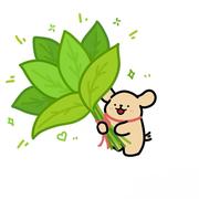 SummerKaze的个人资料头像