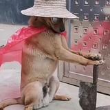 咸鱼66123头像