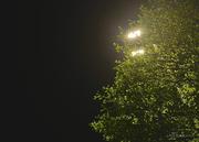 社会败类的个人资料头像