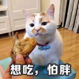 没人来就好头像